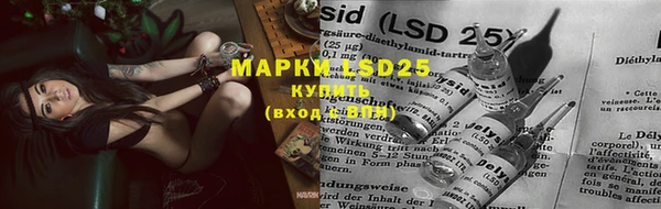 mdpv Алзамай