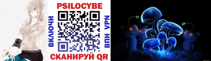 Псилоцибиновые грибы Psilocybe  дарнет шоп  Амурск 